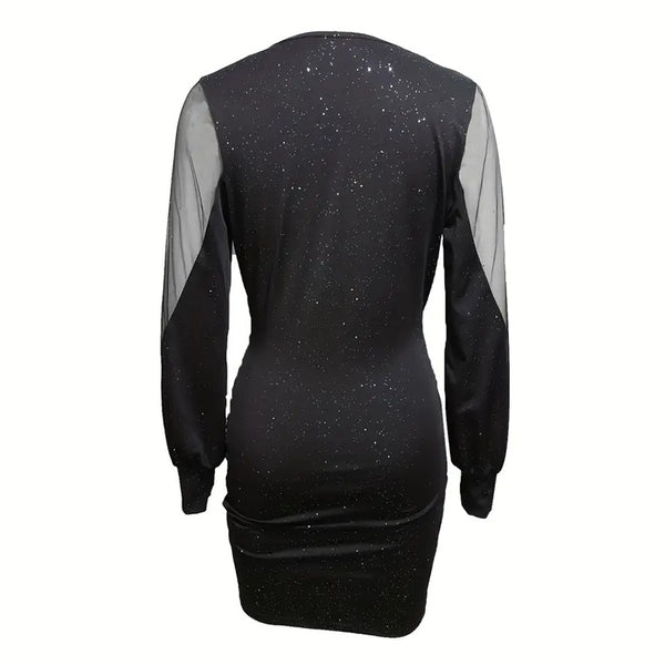 Mesh Long Sleeve BodyCon Dress