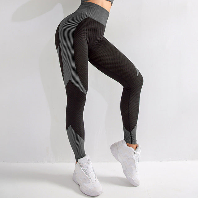 Shop Hollow Seamless Pants Slim Sweat Yoga Sweatpants