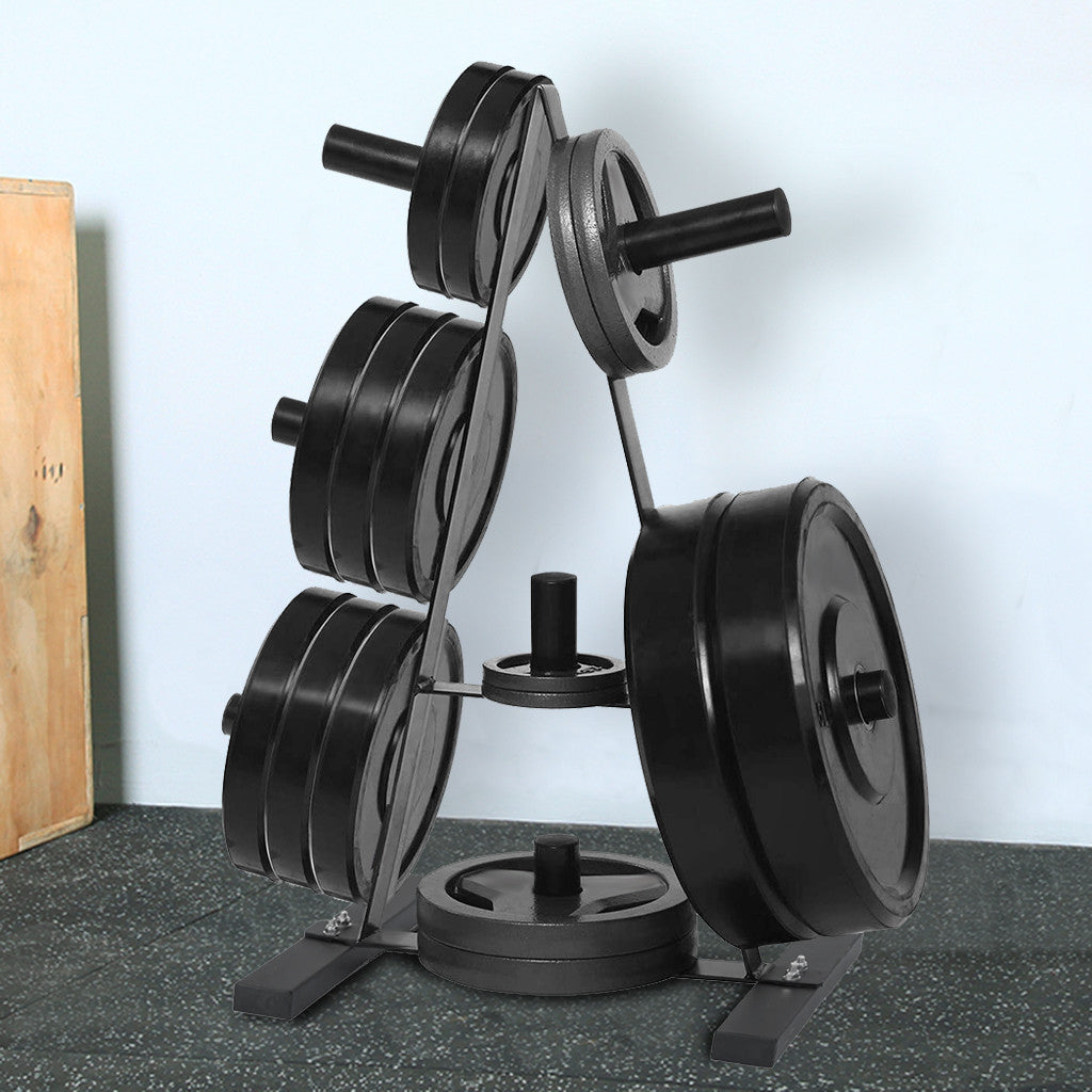 Shop Weight Plate Rack Weight Plate Tree 2 inch For Bumper Plates Free Weight Stand