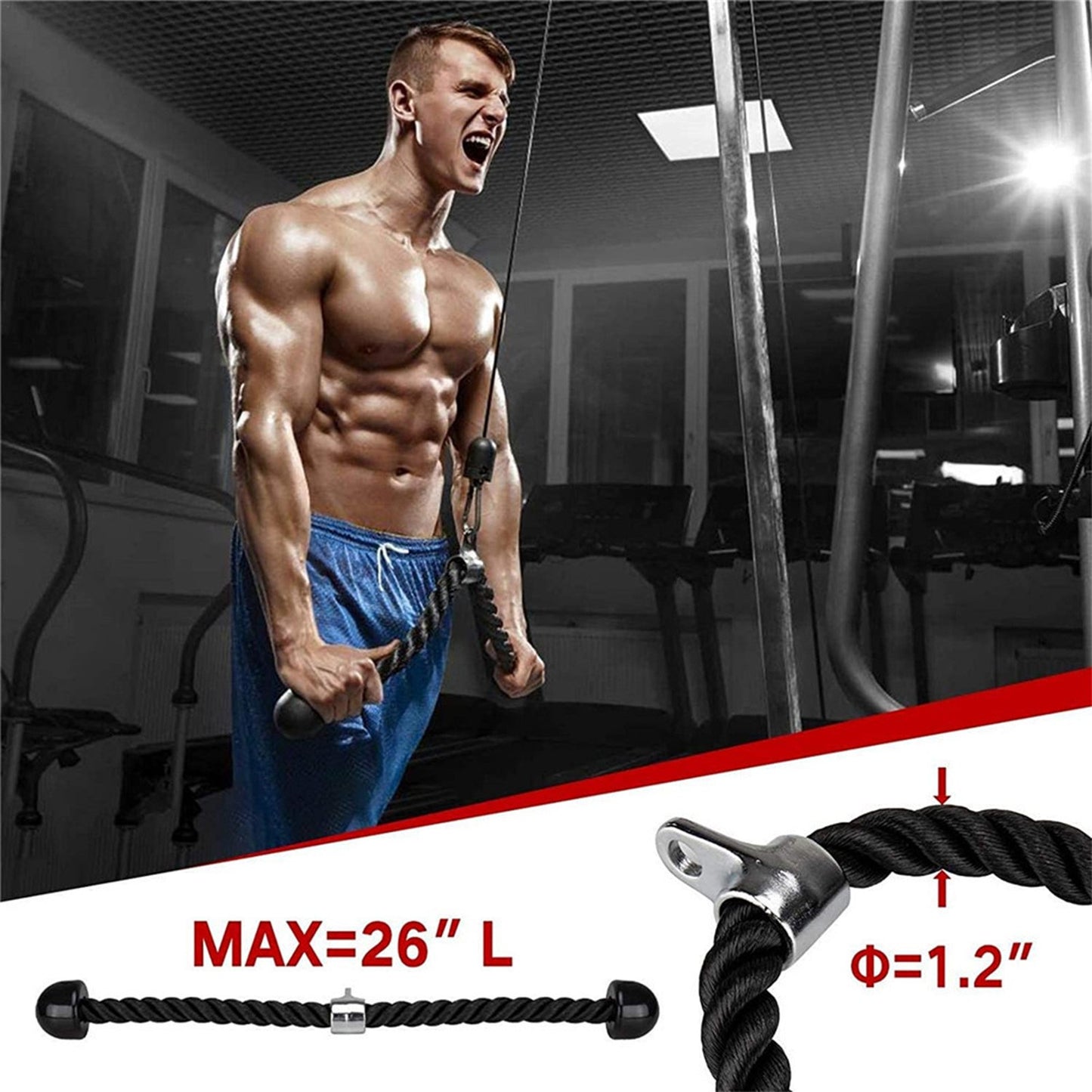 Shop Triceps Trainer High Pull-down Gantry Pulley