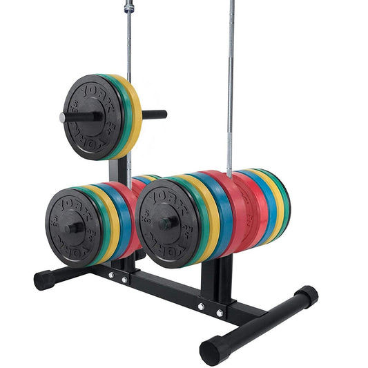 Shop Weight Plate Rack Tree For Dumbbell Plates Olympic Free Weight Storage Rack